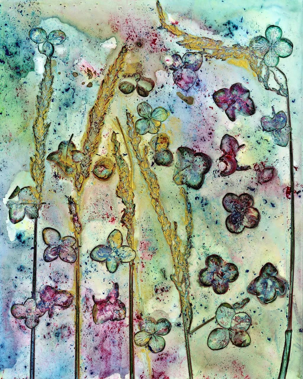 Hydrangea Grasses