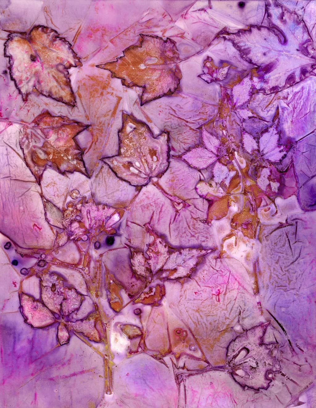 Vindication in Violet