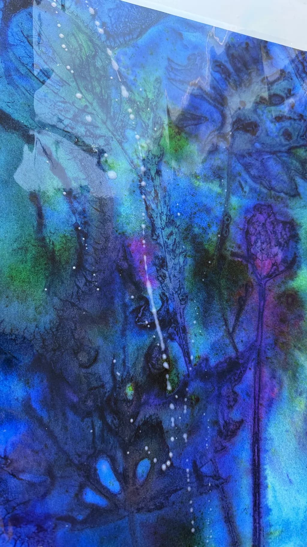 Midnight Botanica