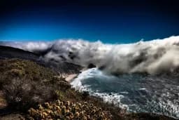 Misty Shoreline