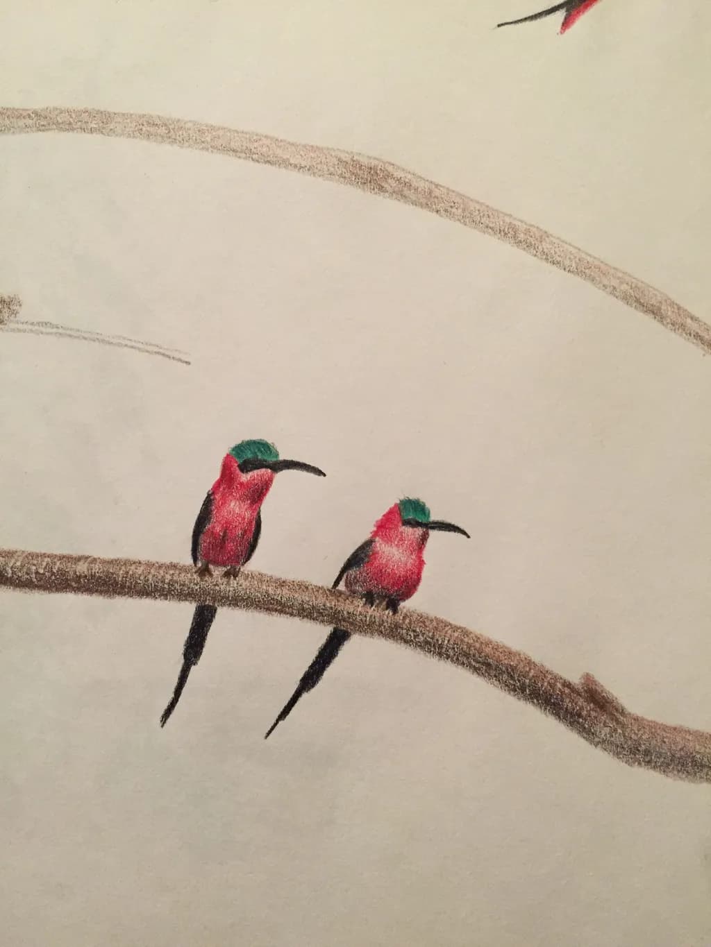 Twin Perch