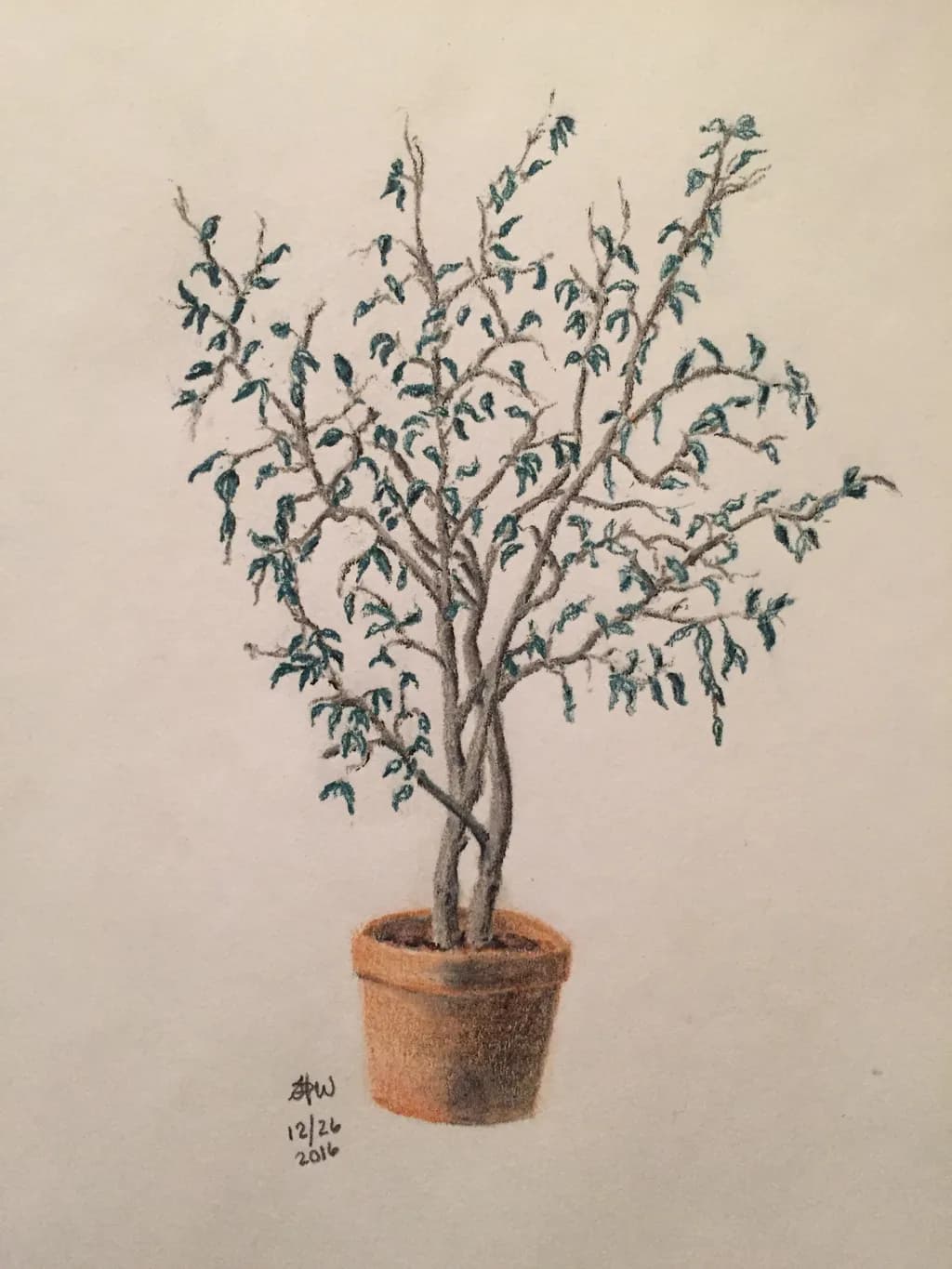 Twisting Branches