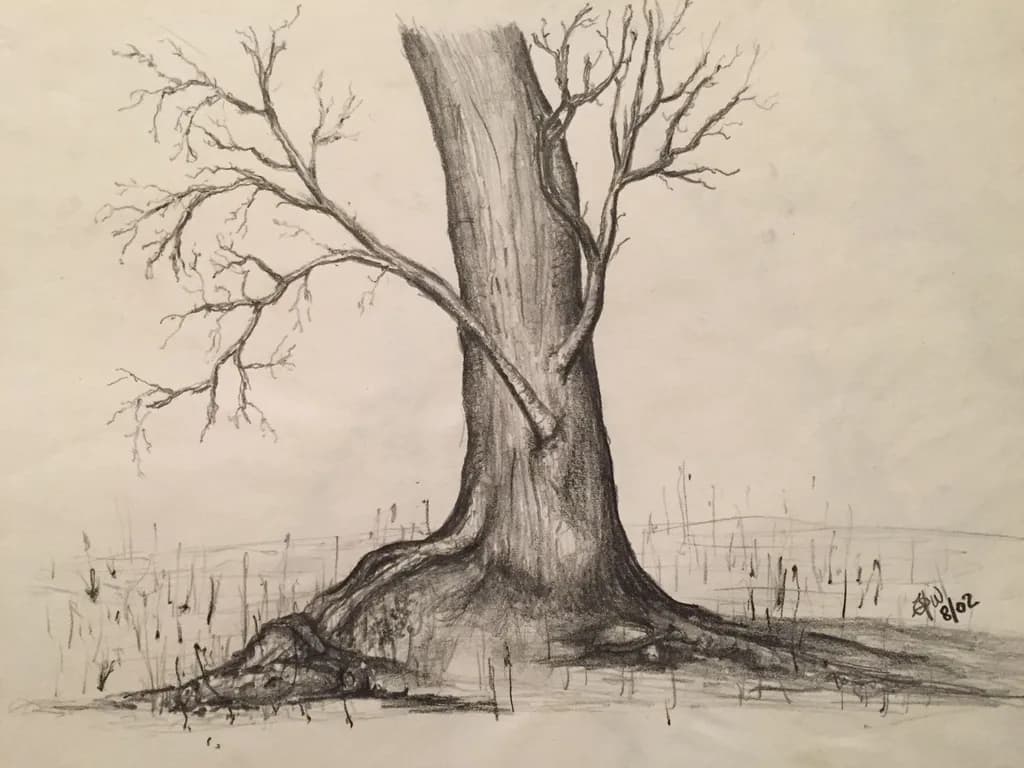 Bare Branches