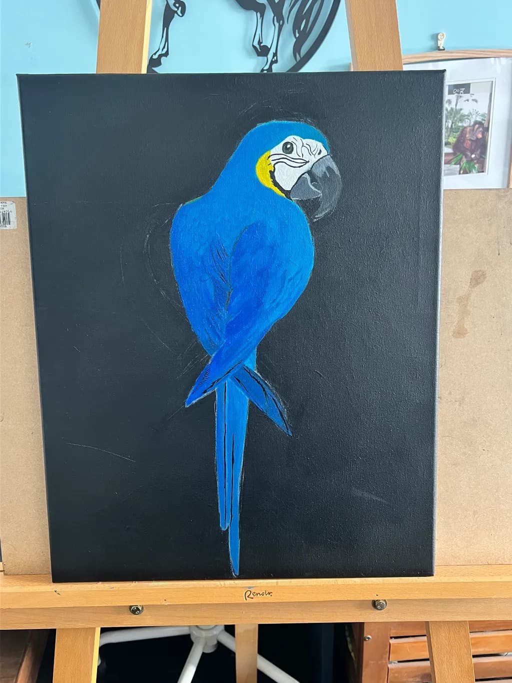 Blue Macaw Majesty