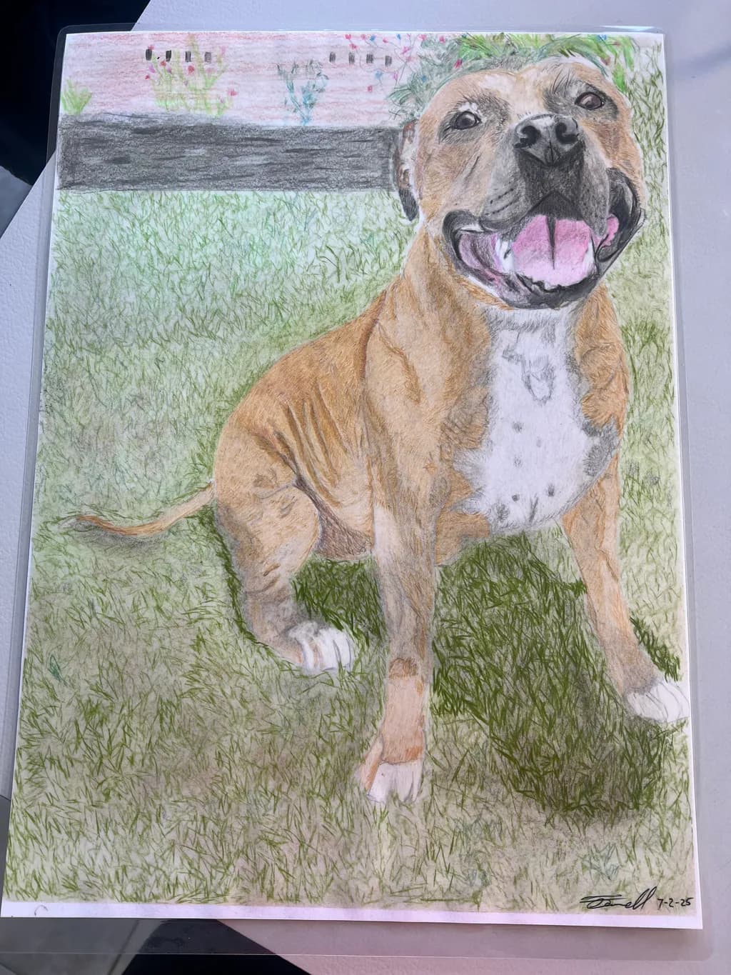 Joyful Canine