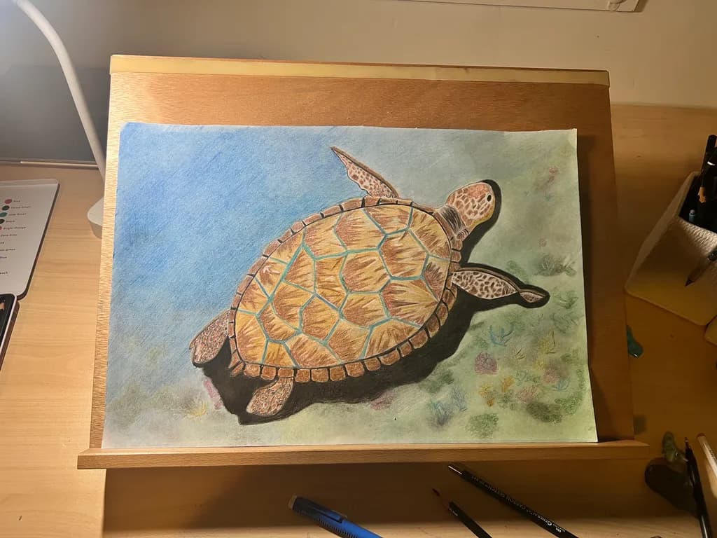 Sea Turtle Serenity