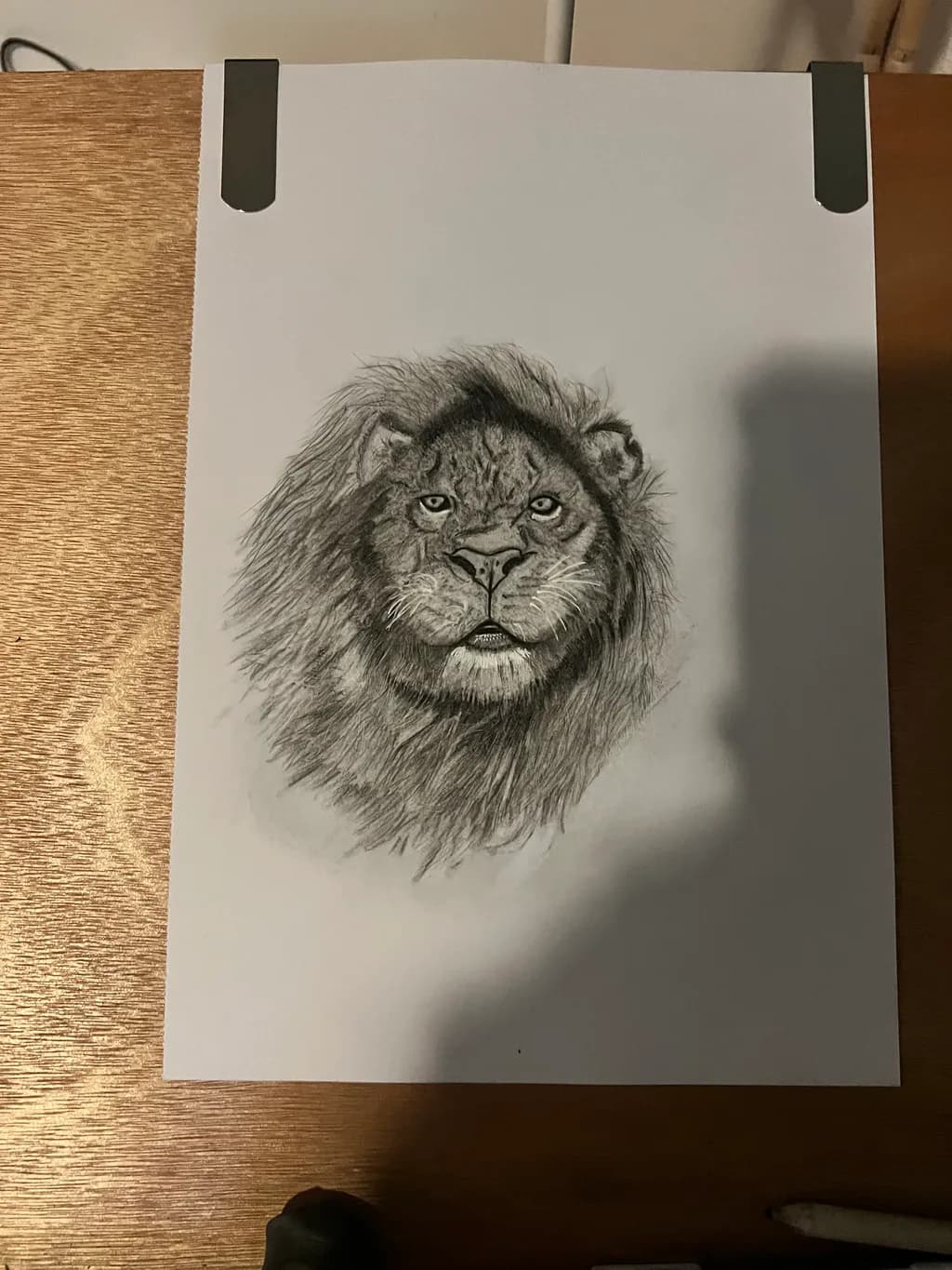 Majestic Lion Portrait