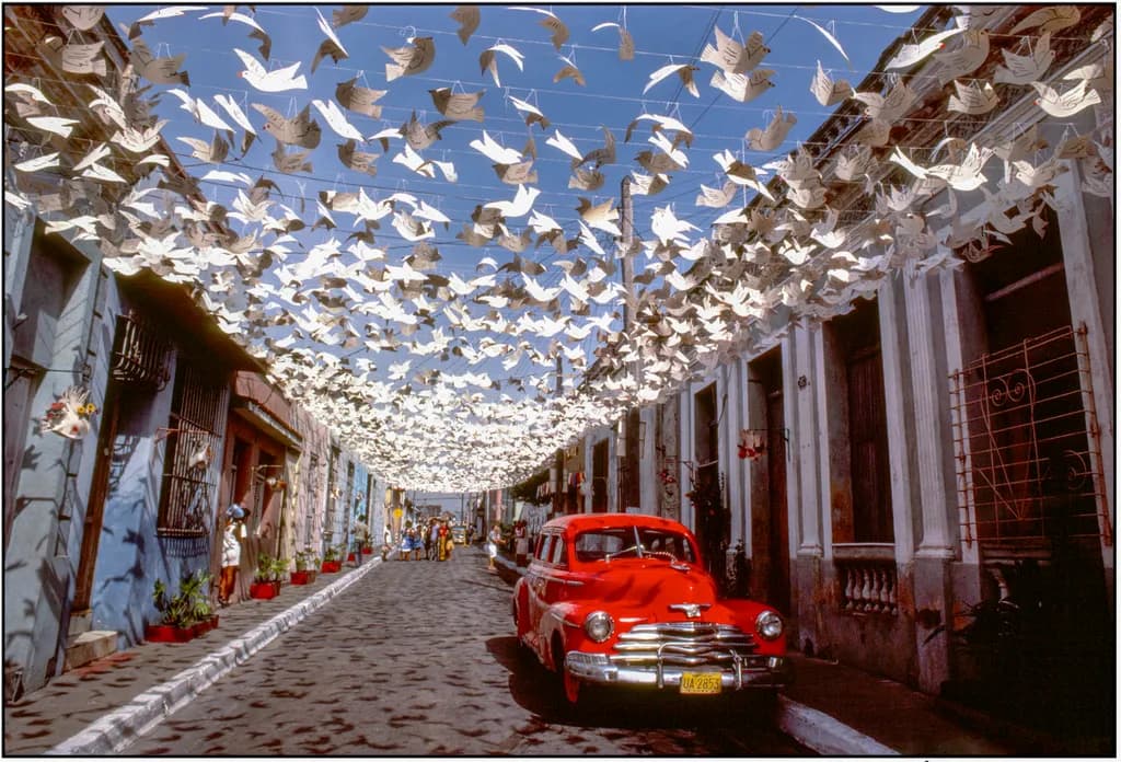 Car and Birds