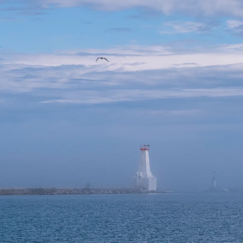 Lighthouse & Gull