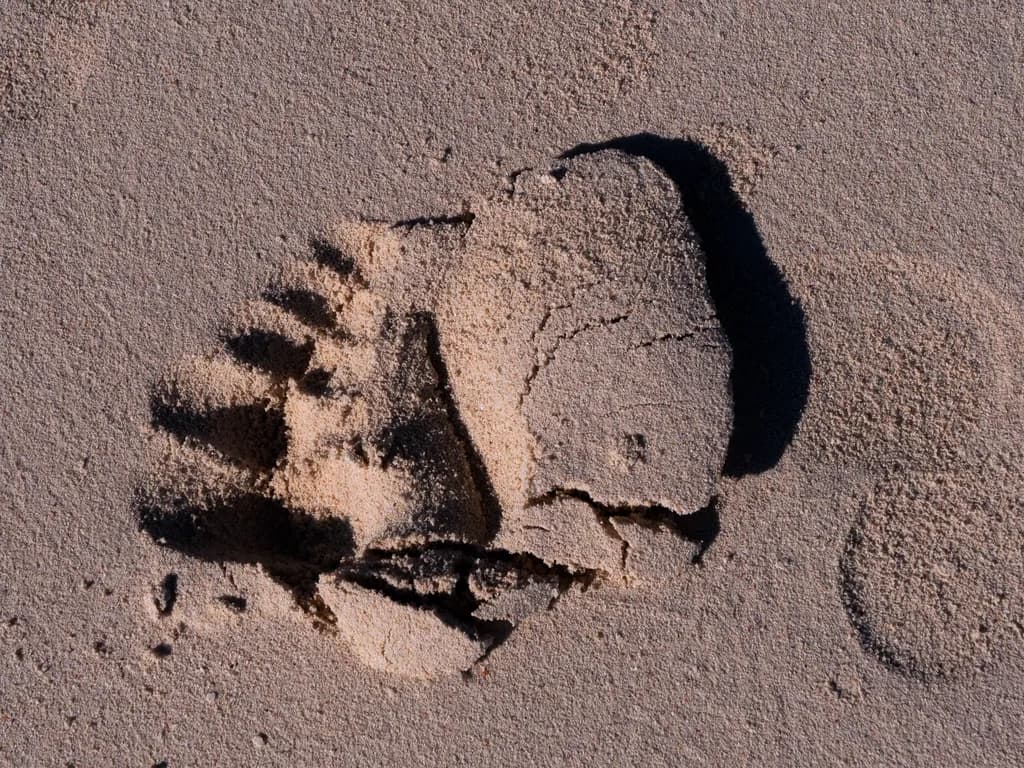Footprint Impression