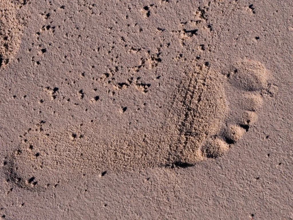 Sandy Footprint