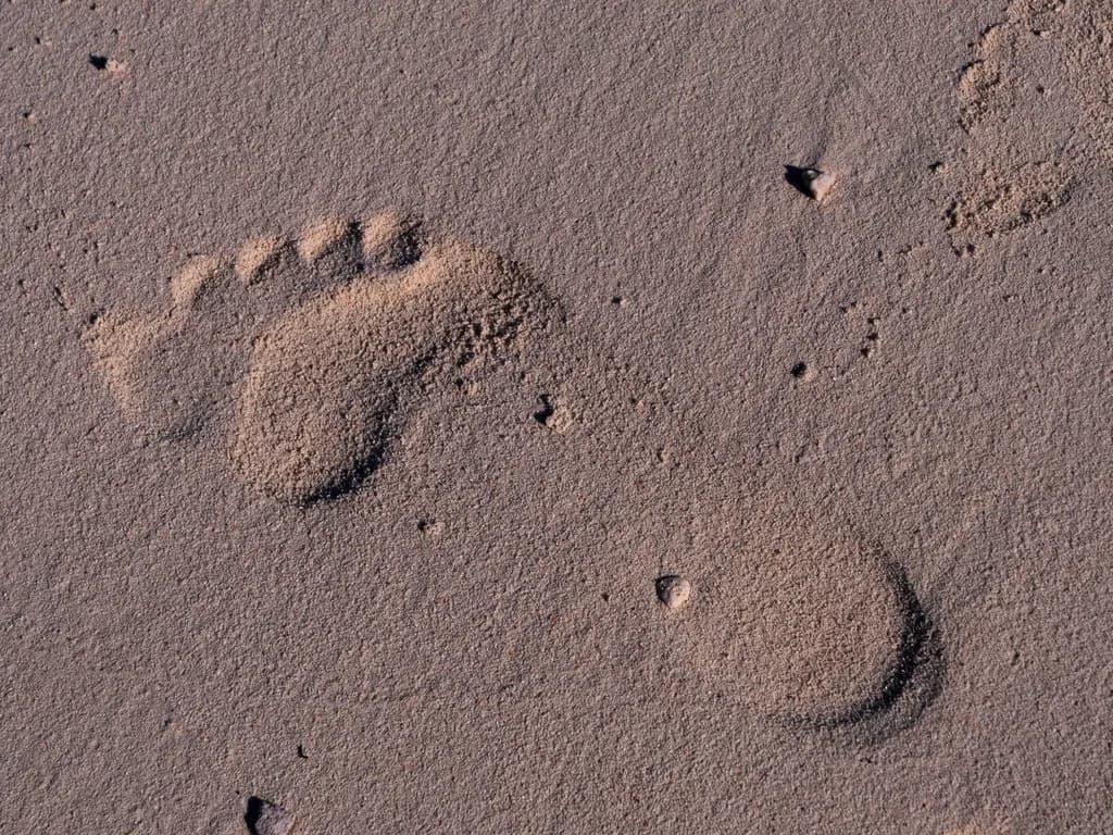 Footprint Imprint
