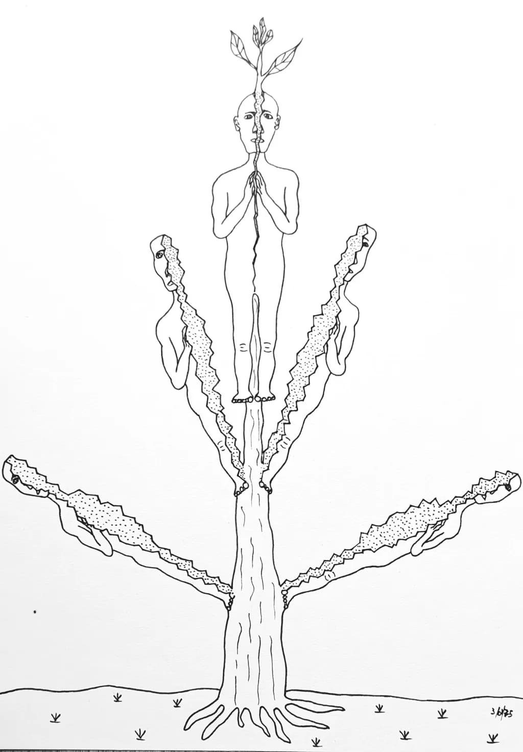 Rooted Reflection
