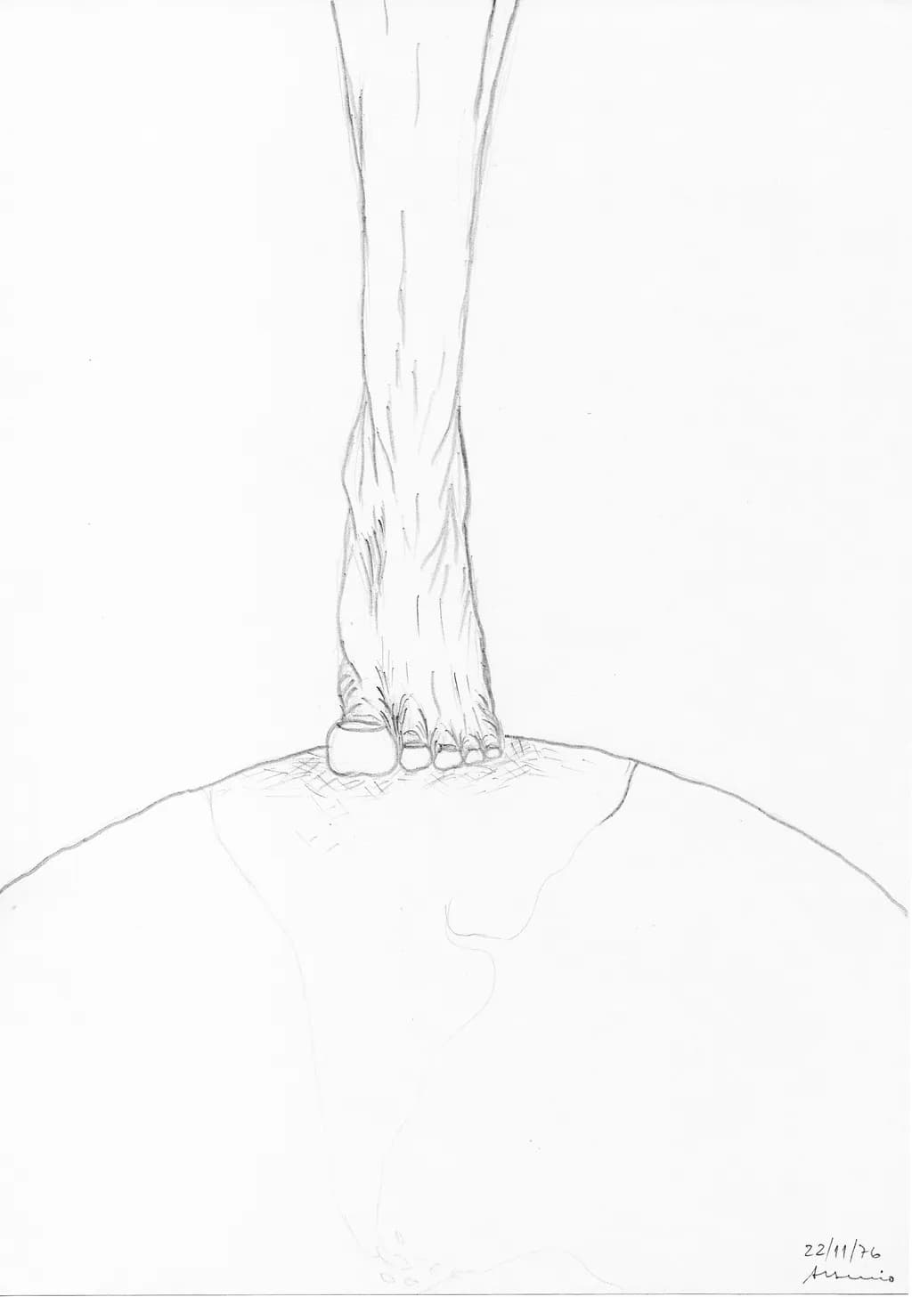 Balancing Act