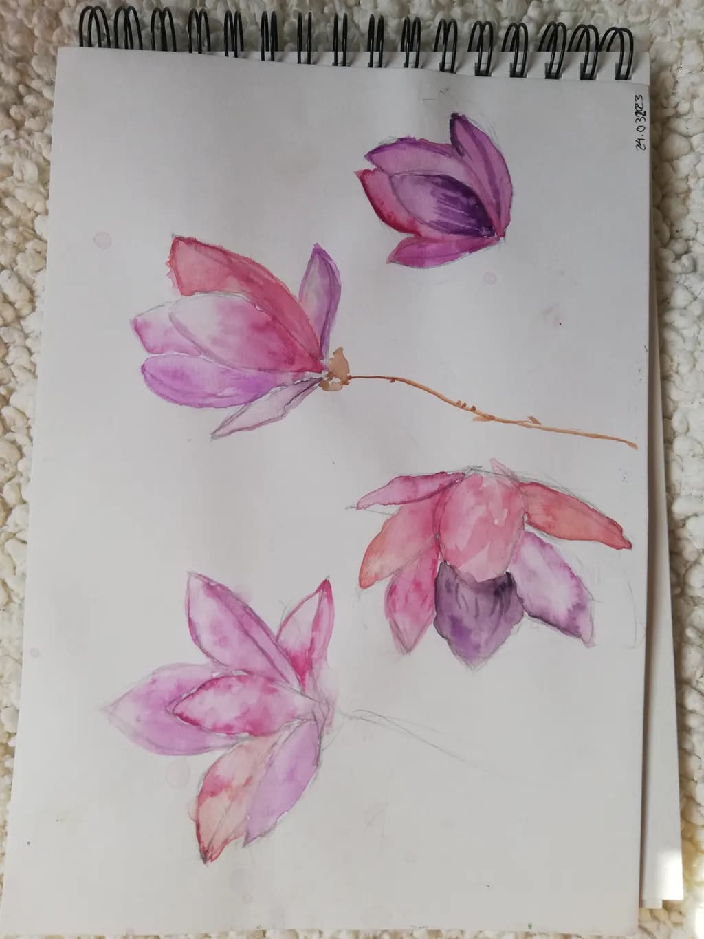 Pink Blossom Study