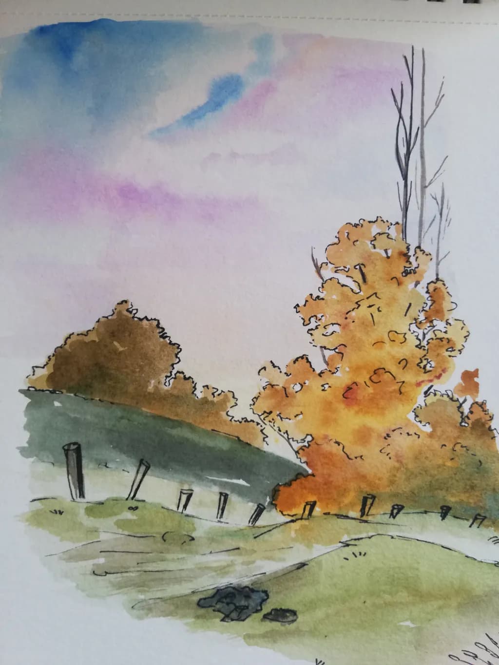 Autumn Trees and Hill