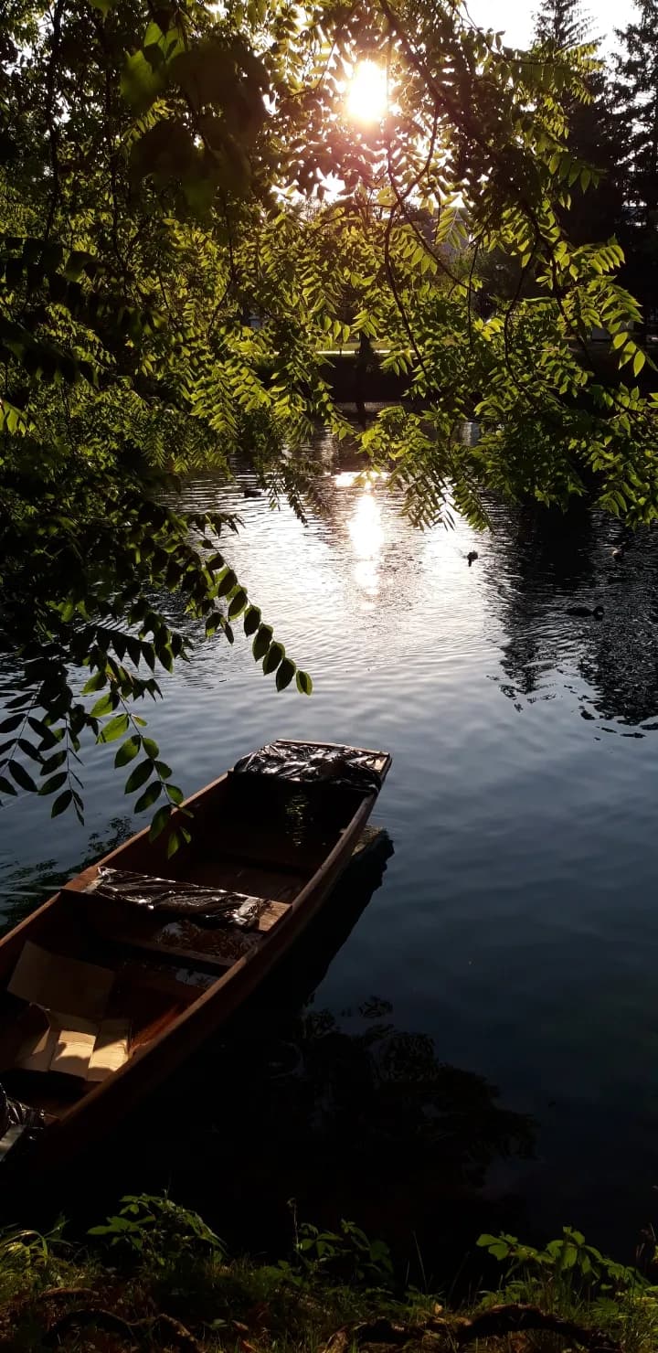 Tranquil Reflections