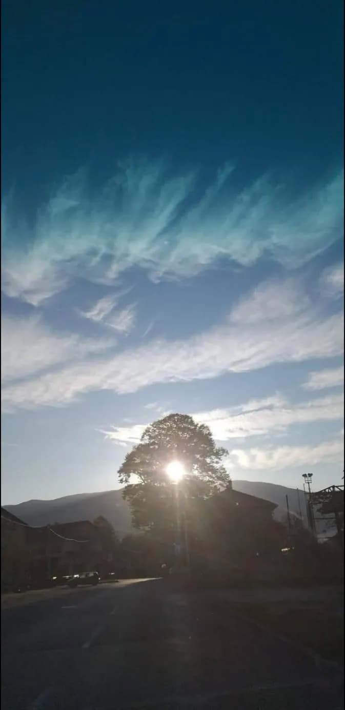 Morning Glow
