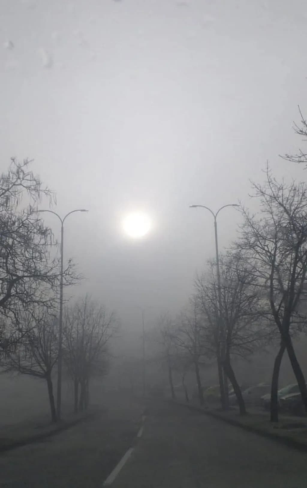 Misty Dawn