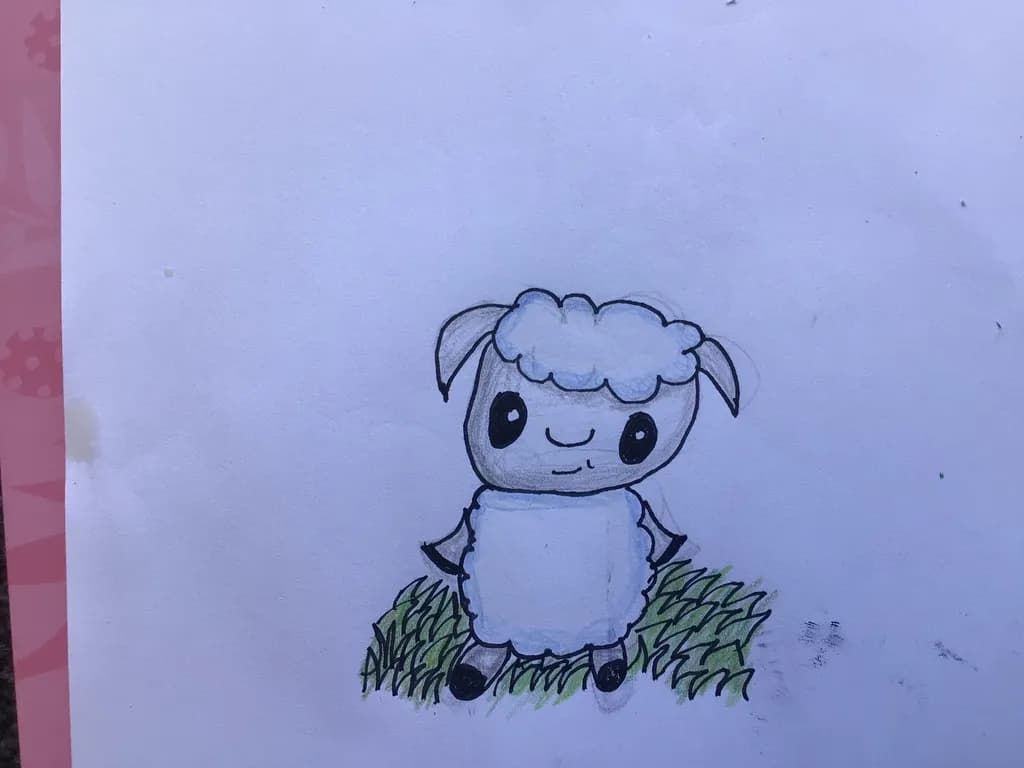 Playful Sheep