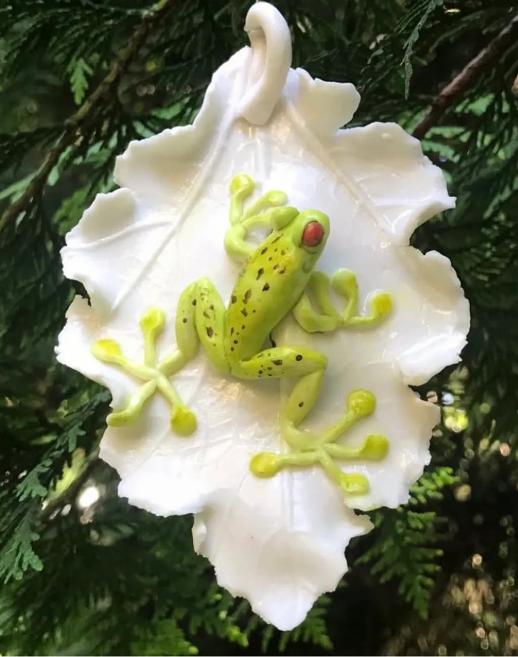 Frog on Leaf