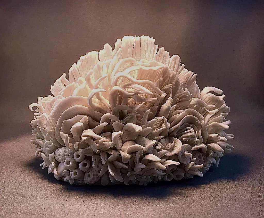 Coral Reverie