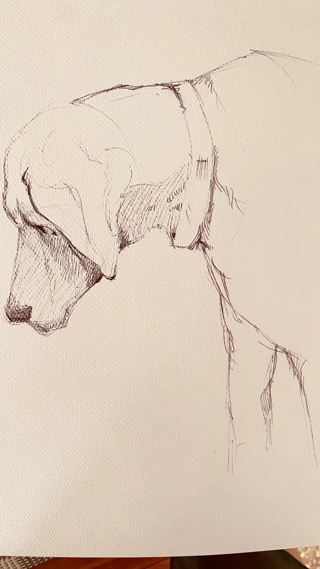 Project bestiario #3