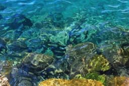 Crystal Waterscape
