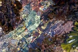 Underwater Dance
