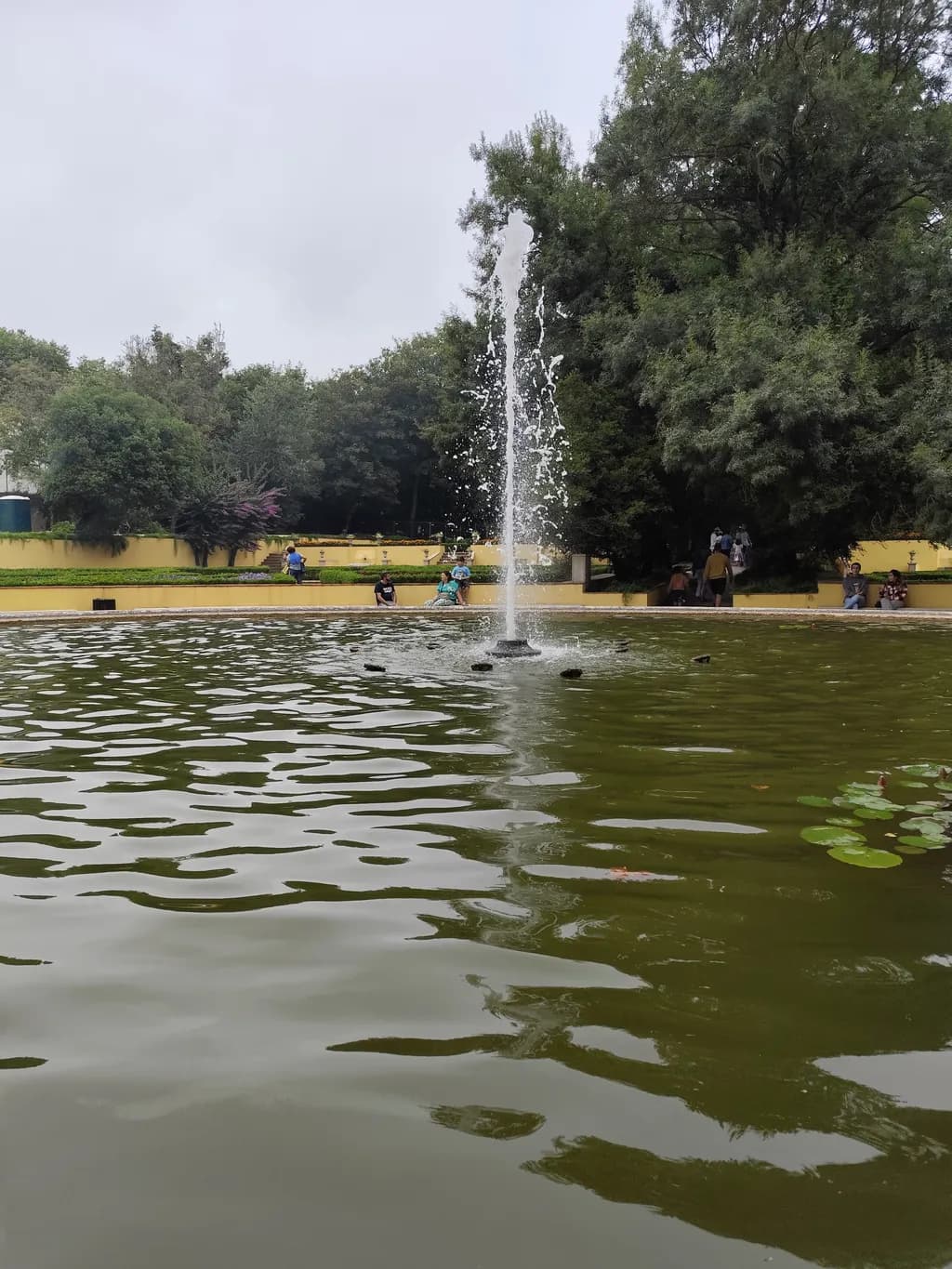 Tranquil Fountain Reflections