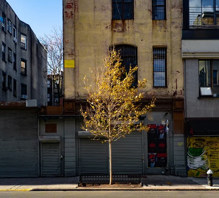 Urban Solitude