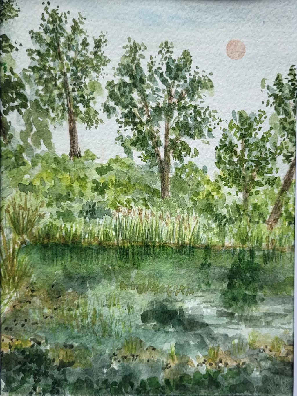 Quiet Pond Reflection