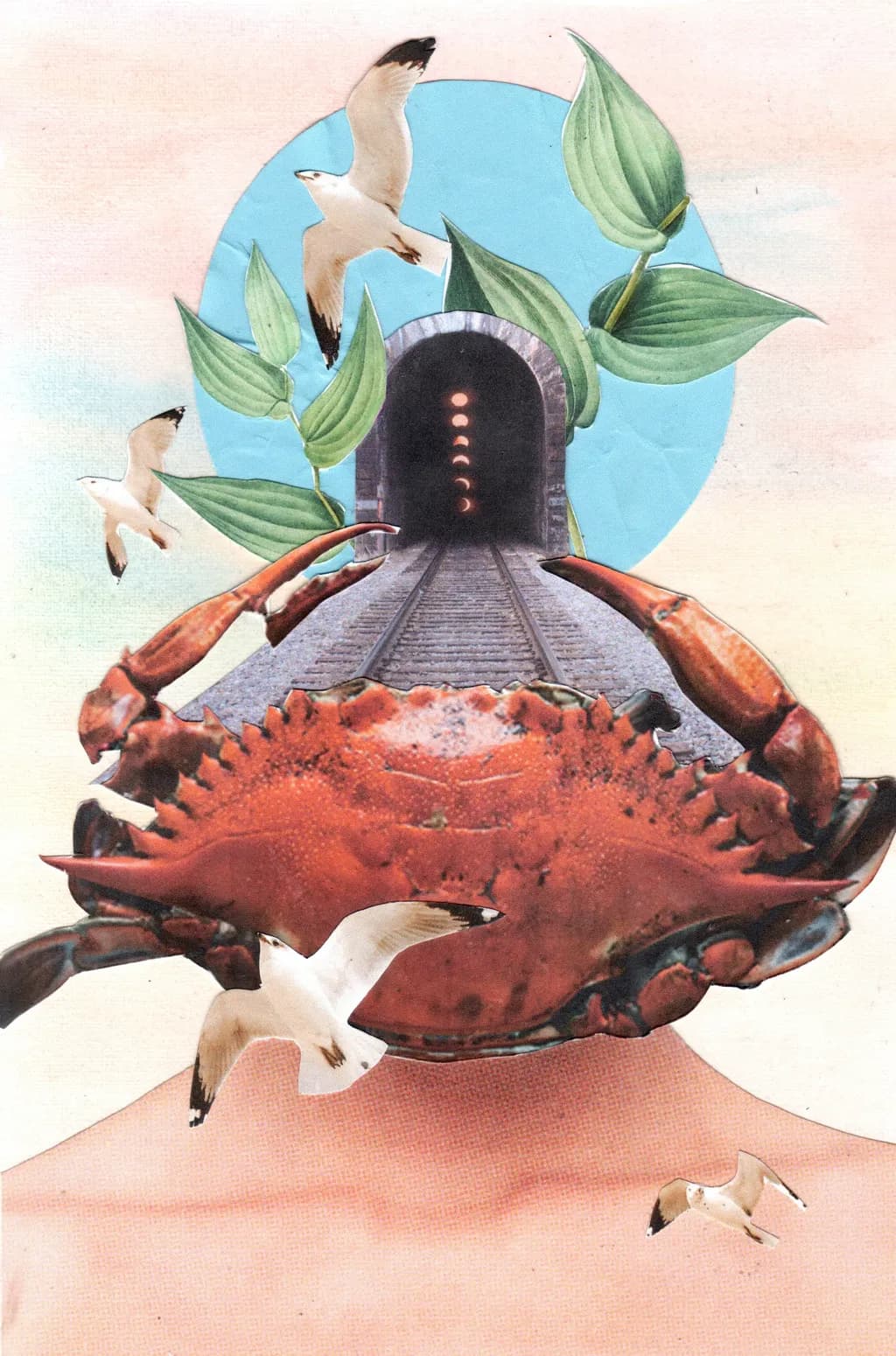 The Skin That Doesn't Cover Me: Surreal Nature Collage