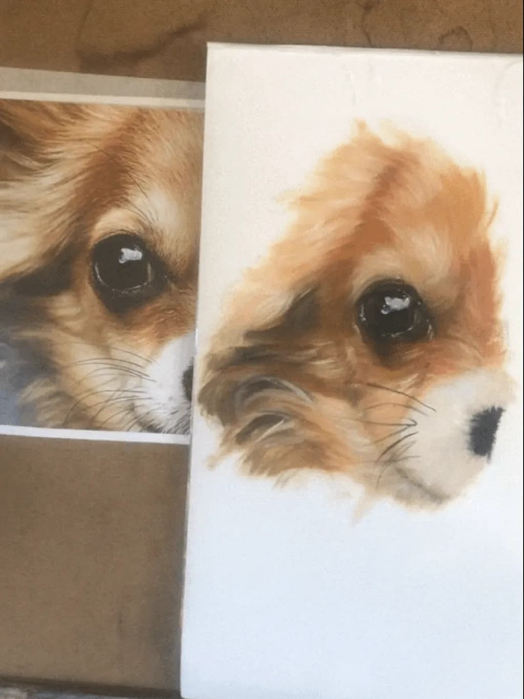 Dog Study