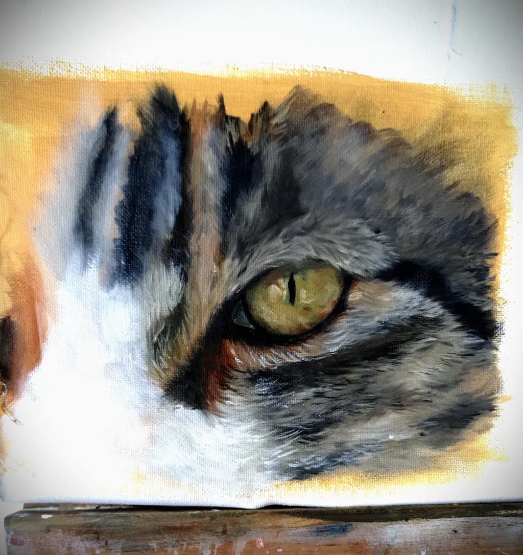 Study Cat Eye