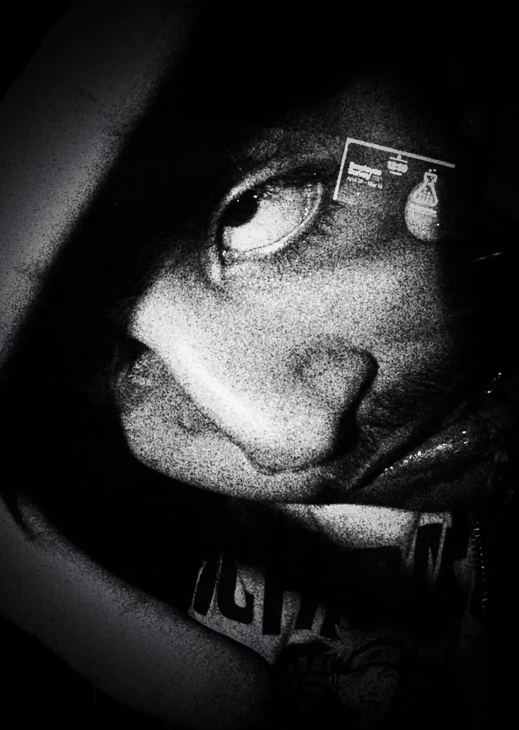 Shadowed Emotion