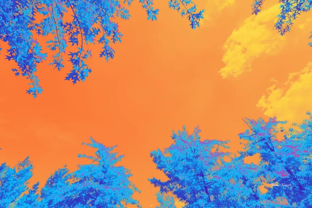 Infrared Canopy