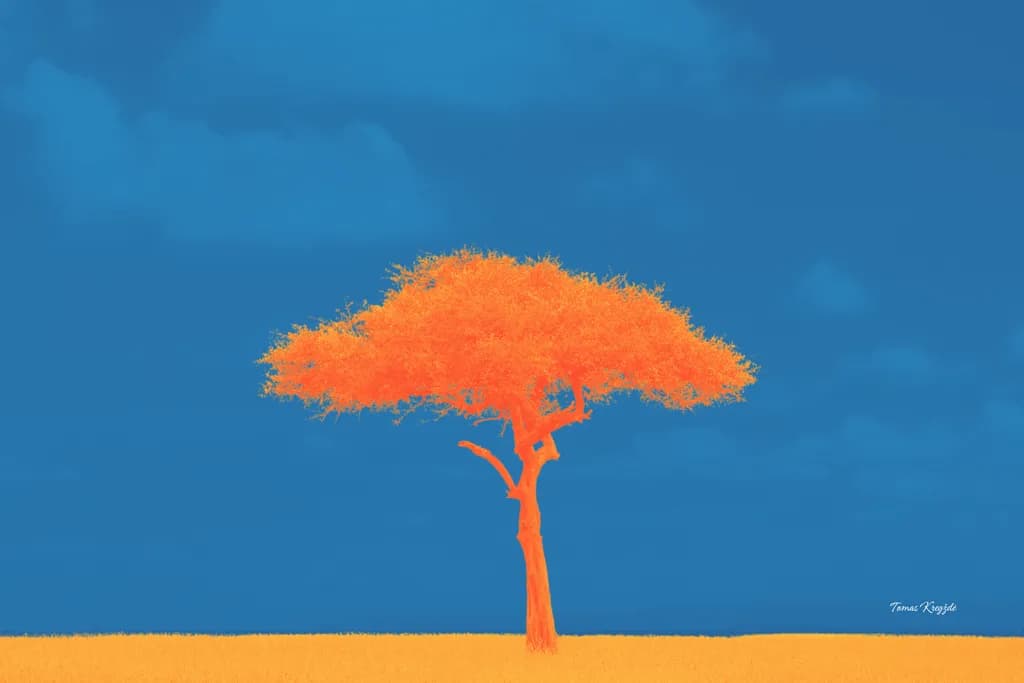 Orange Solitude