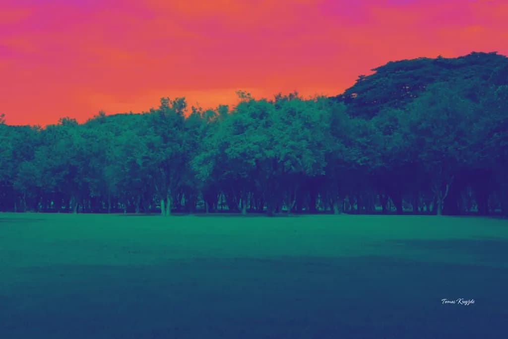 Crimson Horizon