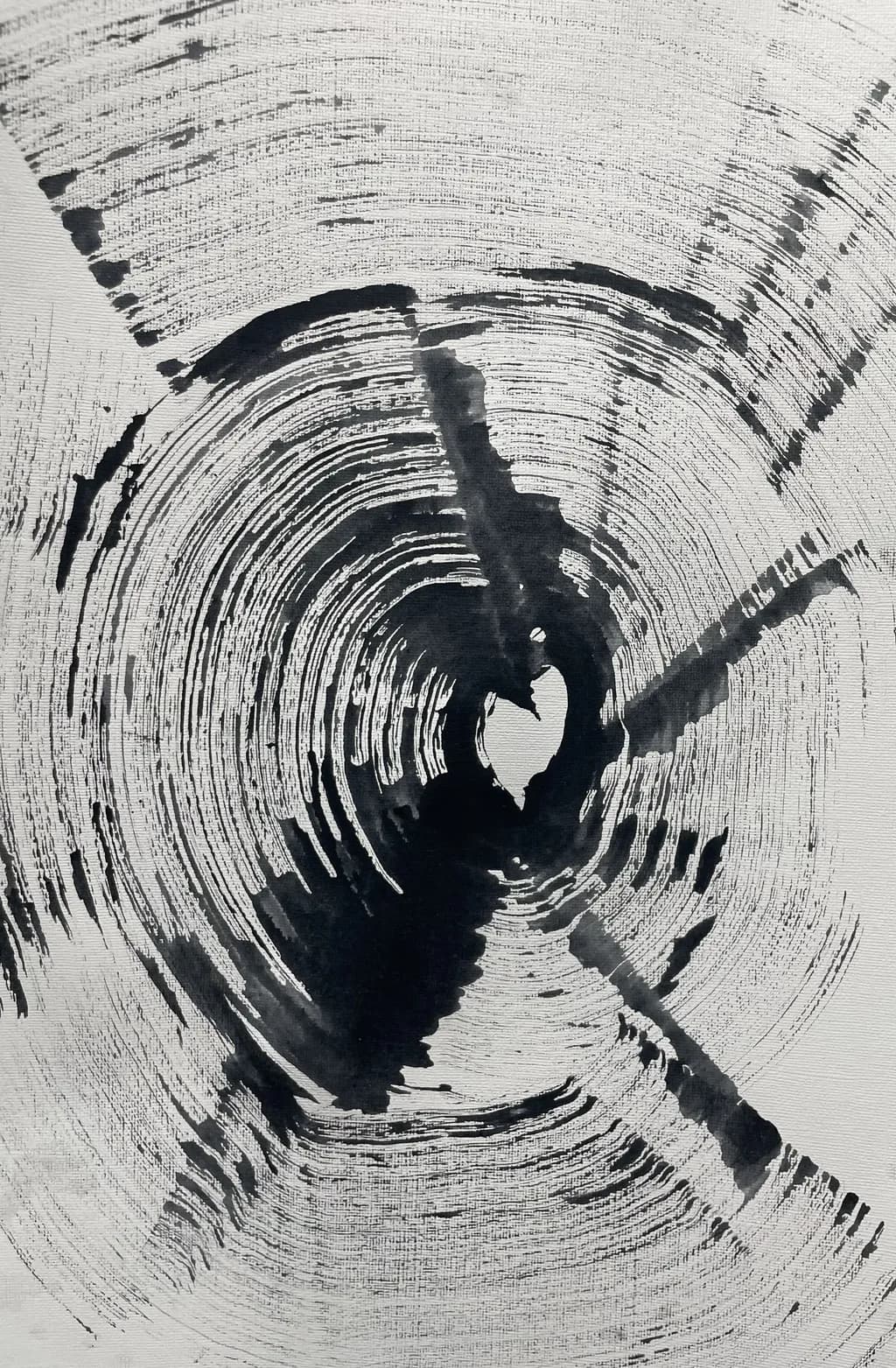 Wood Rings Echo