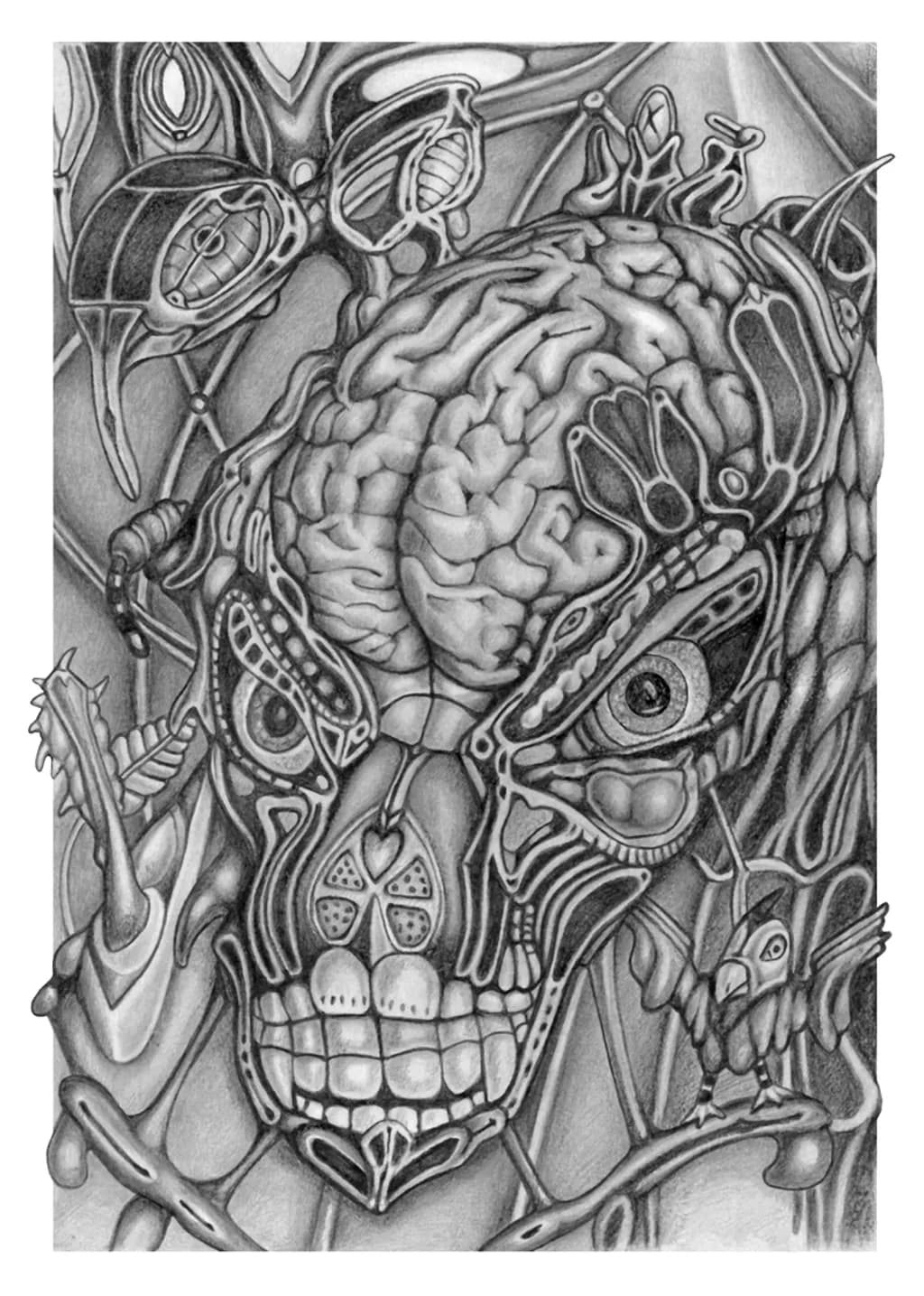 Skull and Brain