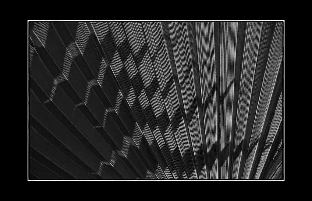 Rhythmic Shadows