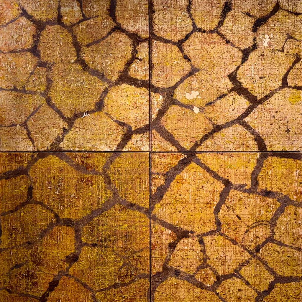 Cracked Earth Pattern