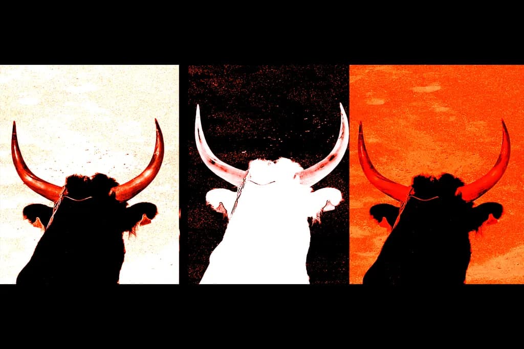 By The Horns