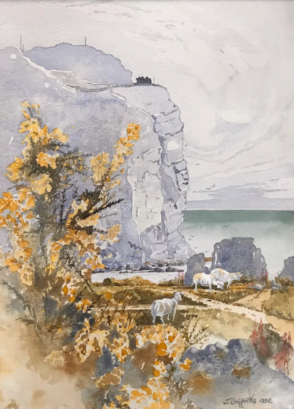 Cliffside Serenity