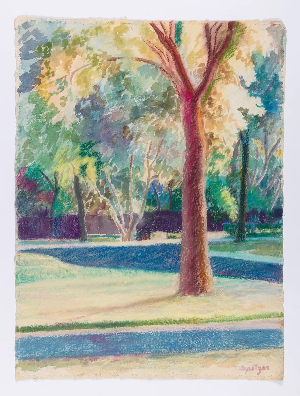 Tree in the Cul-de-Sac