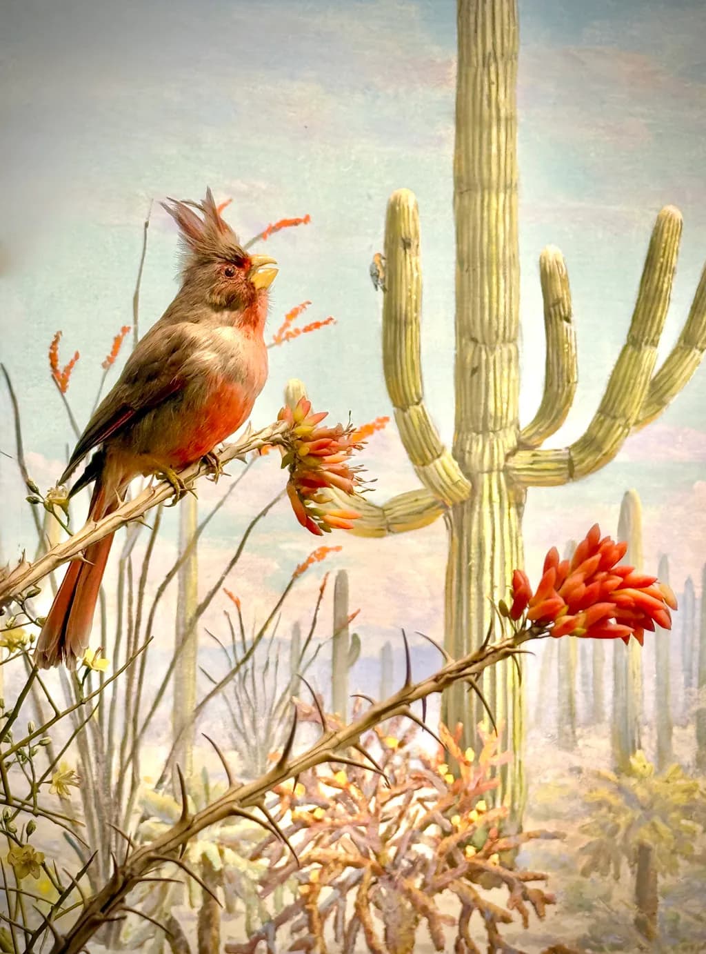 Desert Melody