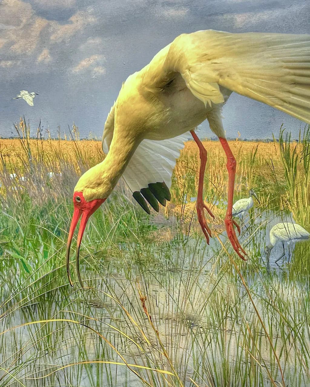 Graceful Flight