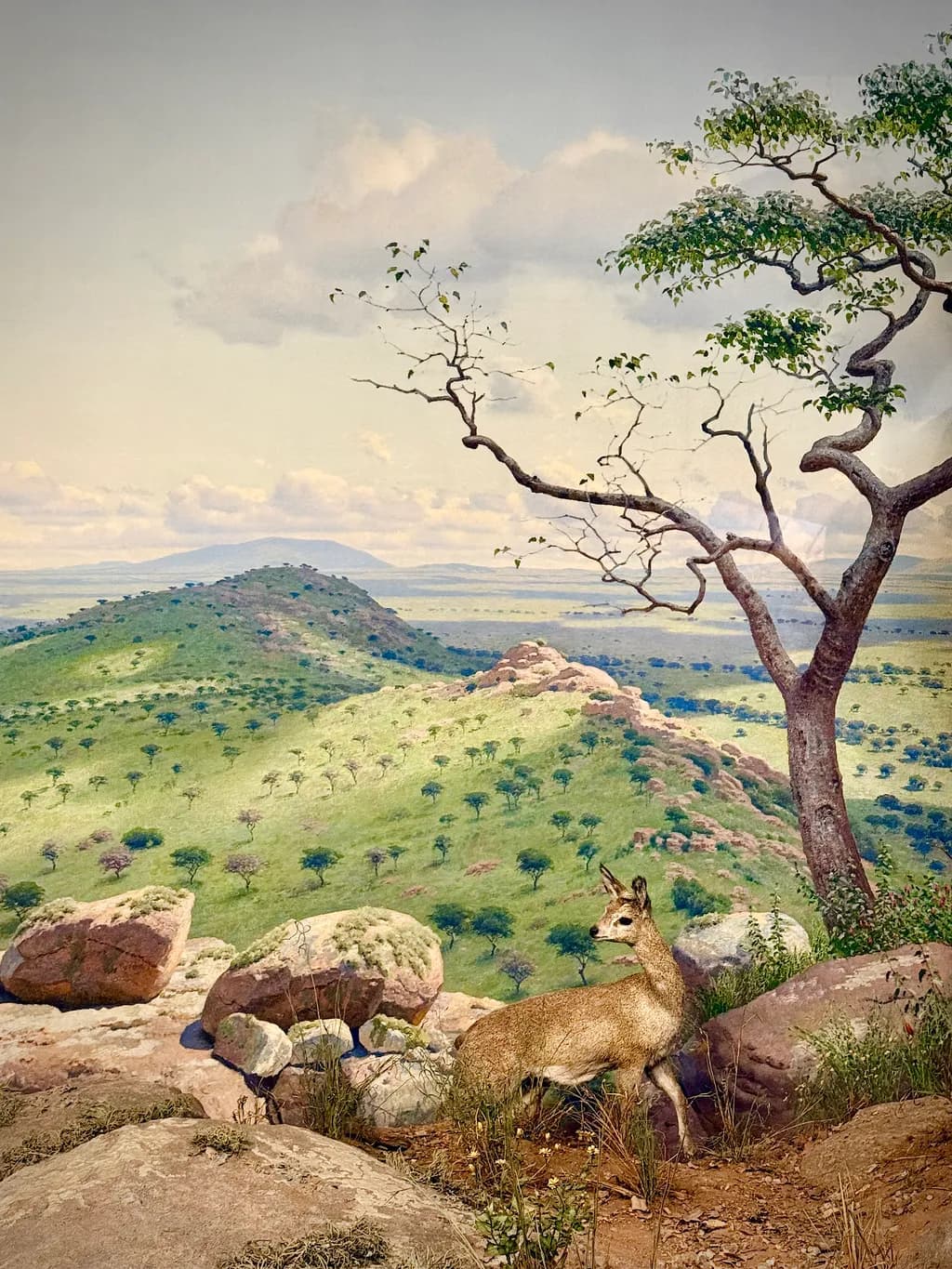 Harmonious Landscape