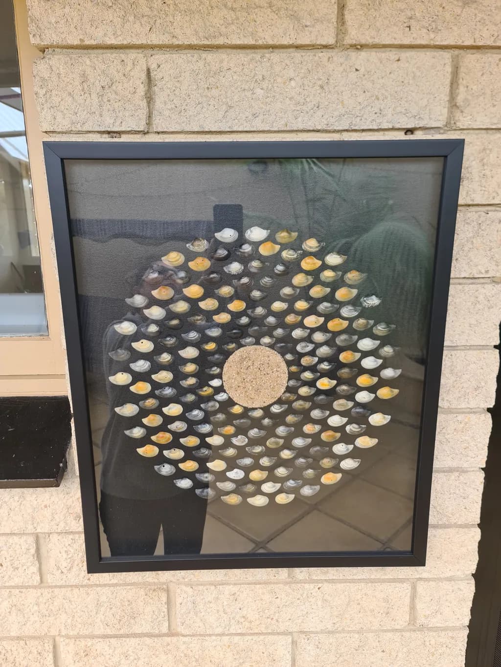Shell Mosaic